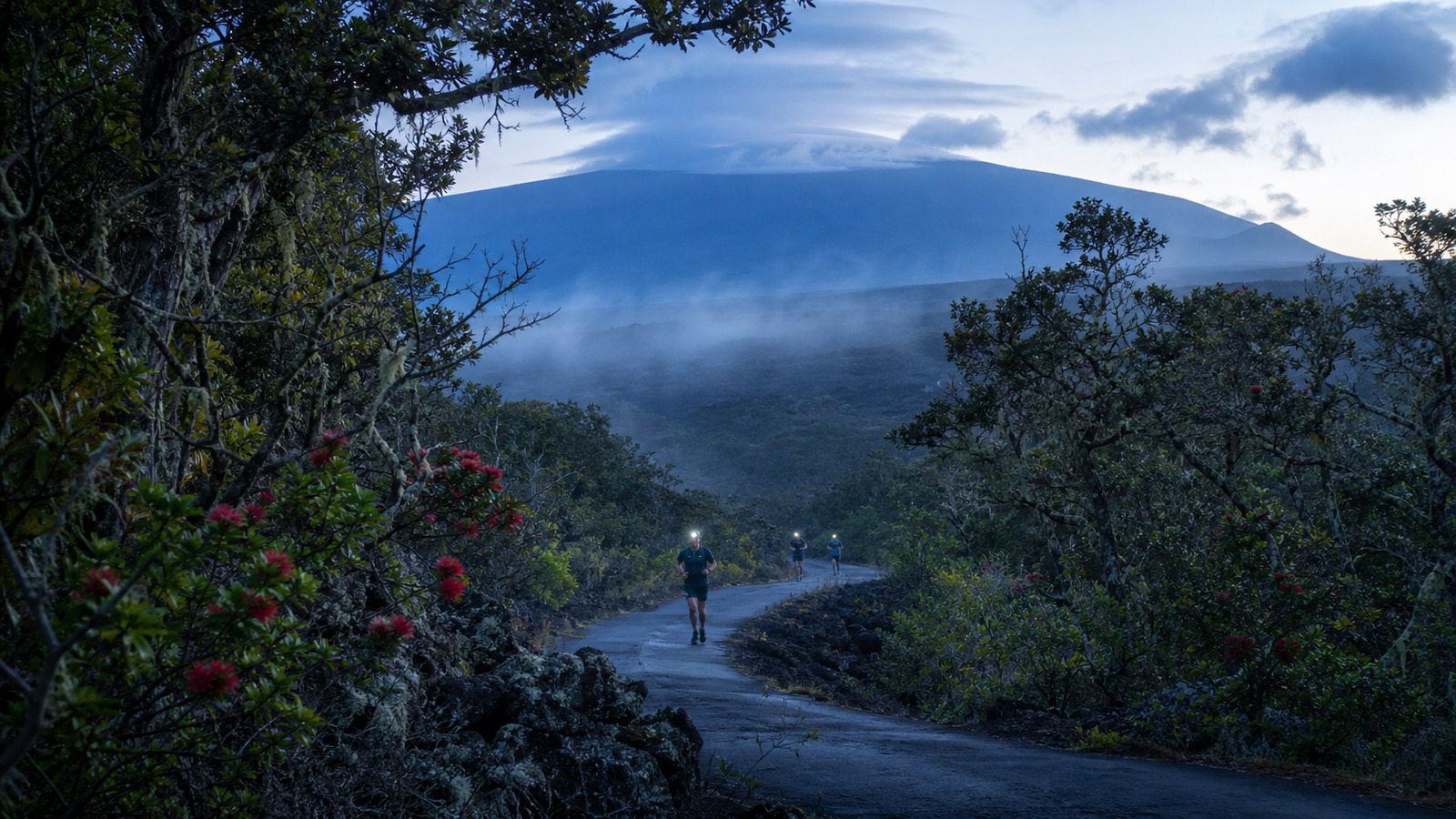 Hawaiʻi Bird Conservation Marathon